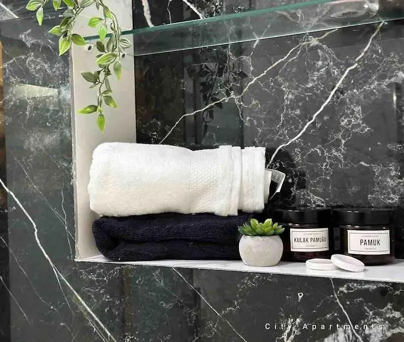 Platinum Residence Apartment Baku